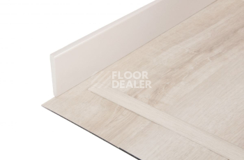 IVC Primero (DryBack) IVC Primero 24137Q фото 6 | FLOORDEALER